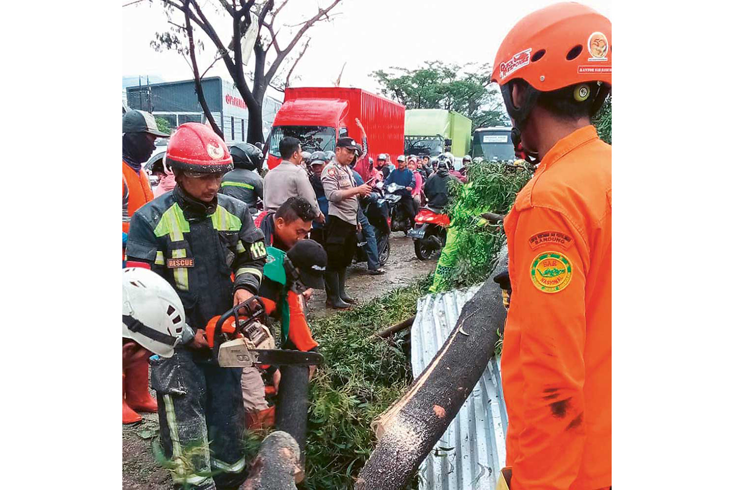 DAMPAK TERJANGAN: Petugas PLN membersihkan pohon tumbang akibat angin puting beliung di Desa Cintaumulya, Jatinangor, Sumedang, Rabu (21/2). - Image