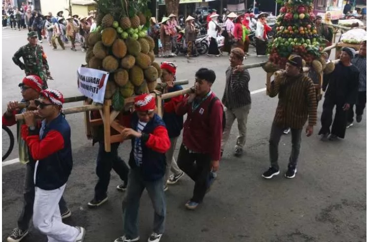 Ratusan warga Kecamatan Gunungpati mengikuti kirab budaya Festival Gunungpati Season 2, Jumat (23/2) pagi. - Image