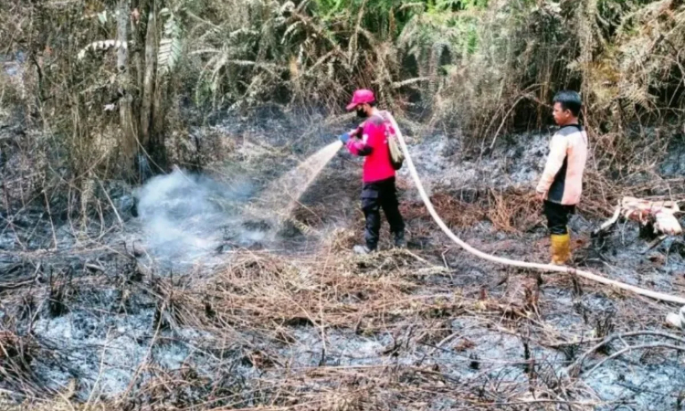 Petugas sedang memadamkan karhutla di Kabupaten Penajam Paser Utara (PPU). (Antara) - Image