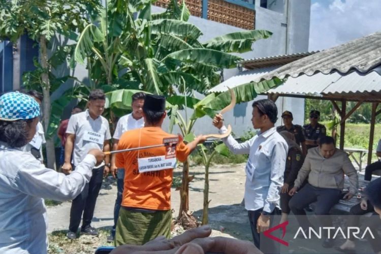 Reka adegan carok 2 VS 4. (Antaranews) - Image