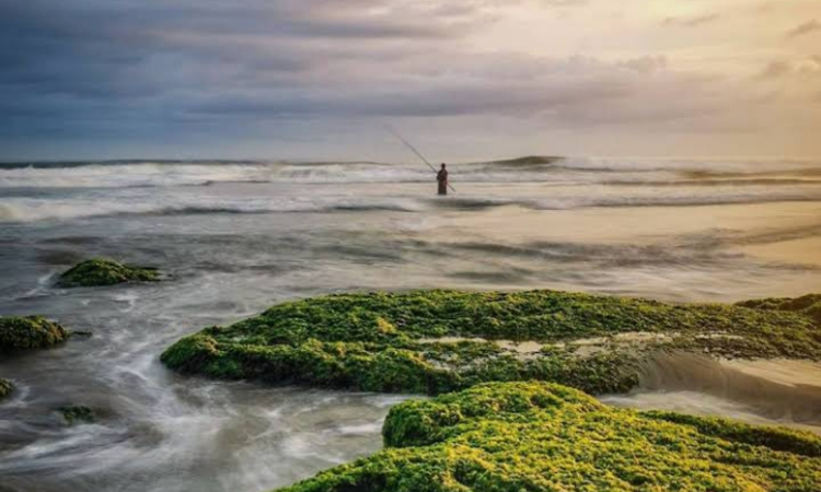 Potret Pantai Pasur JLS Blitar. - Image