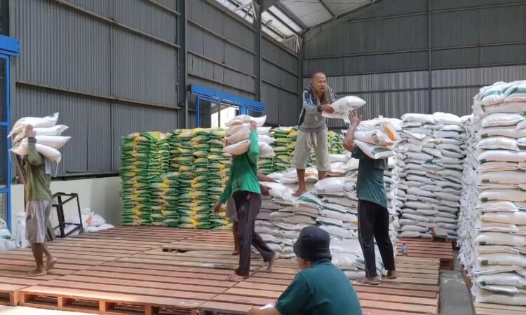 Sejumlah pekerja mengangkat beras di gudang bulog (Akhmad Nur Khoiri/ Radar Trenggalek) - Image