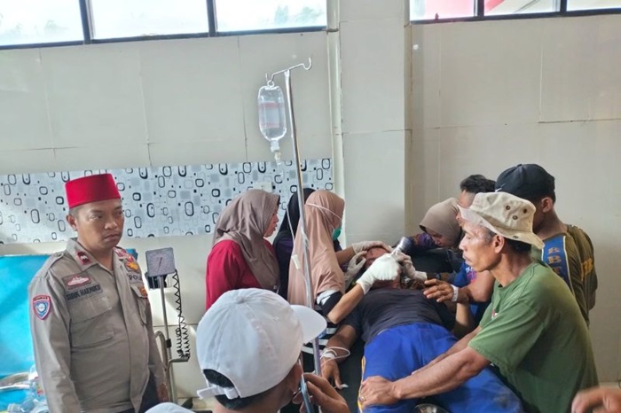 Seorang warga bernama Samanan, 41, warga Pekon (Desa) Sukamarga, Kecamatan Suoh, Kabupaten Lampung Barat jadi korban keganasan harimau Sumatera. - Image