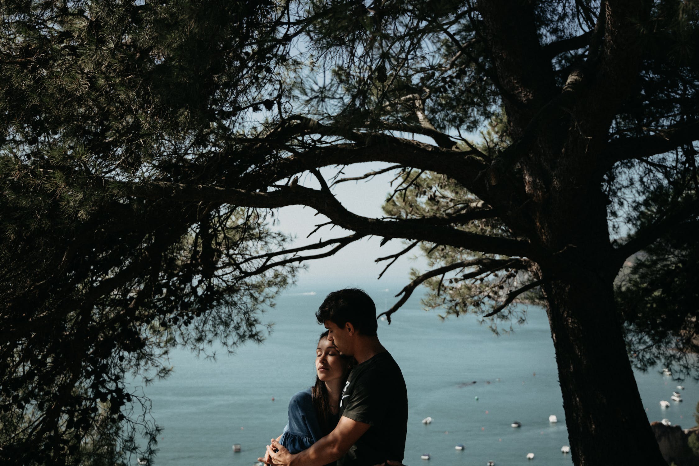 Ilustrasi pasangan romantis di bawah pohon rindang./(Pexels/João Jesus) - Image