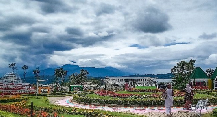 Pemandangan Taman Bunga Celosia di Semarang. - Image