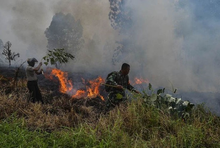 Kondisi Riau yang dilanda kebakaran hutan dan lahan. - Image