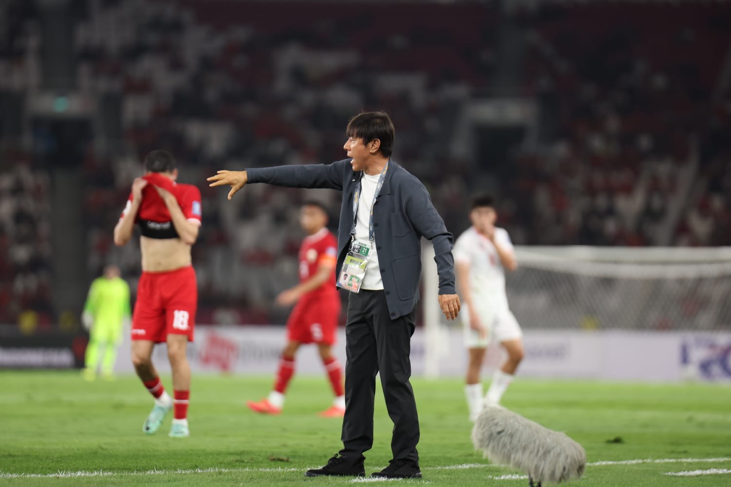 Timnas Indonesia bekuk Vietnam dengan skor 1-0 di ajang Kualifikasi Piala Dunia 2026 Grup F di GBK Jakarta. - Image
