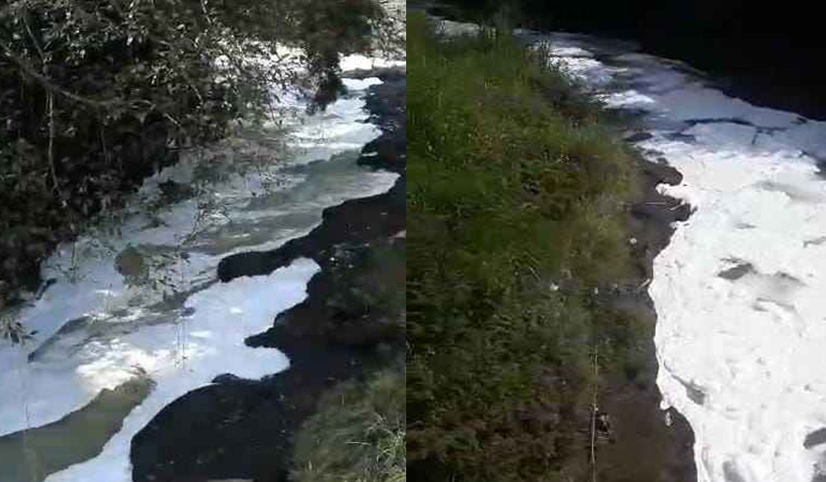 Kondisi Sungai Ciliwung di wilayah Kedung Halang Kota Bogor yang dipenuhi buih. - Image