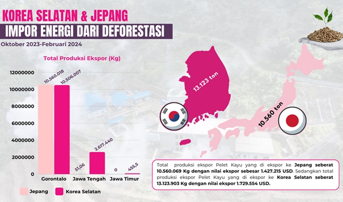 Data ekspor wood pellet Indonesia 2023 - 2024.