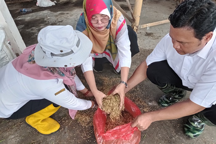 Kementan terus menerus melakukan berbagai terobosan melalui program-program andalan, salah satunya Pertanian Ramah Lingkungan. - Image