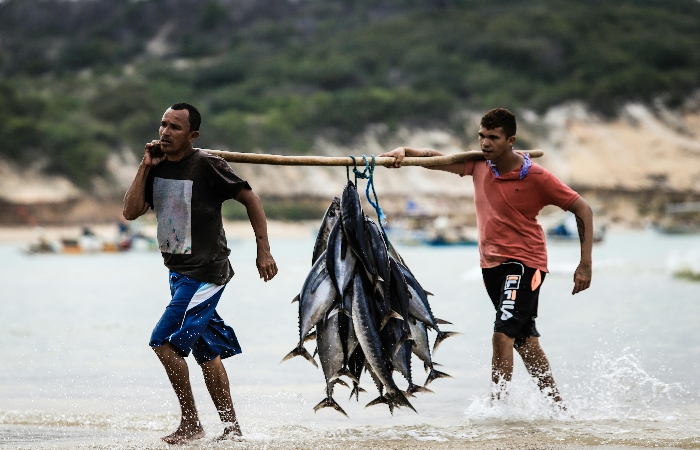 Penerapan indikasi geografis dalam hilirisasi hasil perikanan jadi strategi akselerasi daya saing produk kelautan../Sumber Foto : Alexandre Saraiva Carniato/Pexels.com - Image
