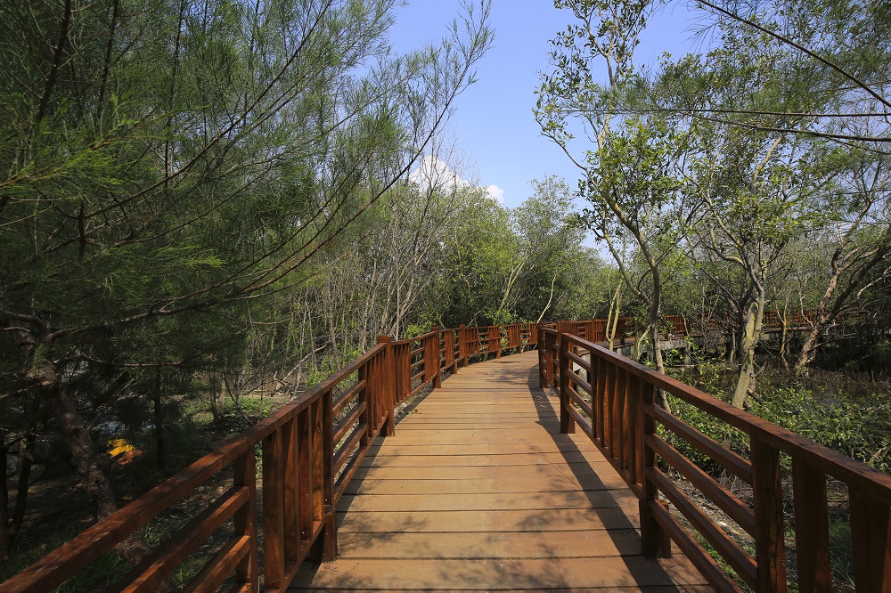 Wisata Mangrove Gunung Anyar.