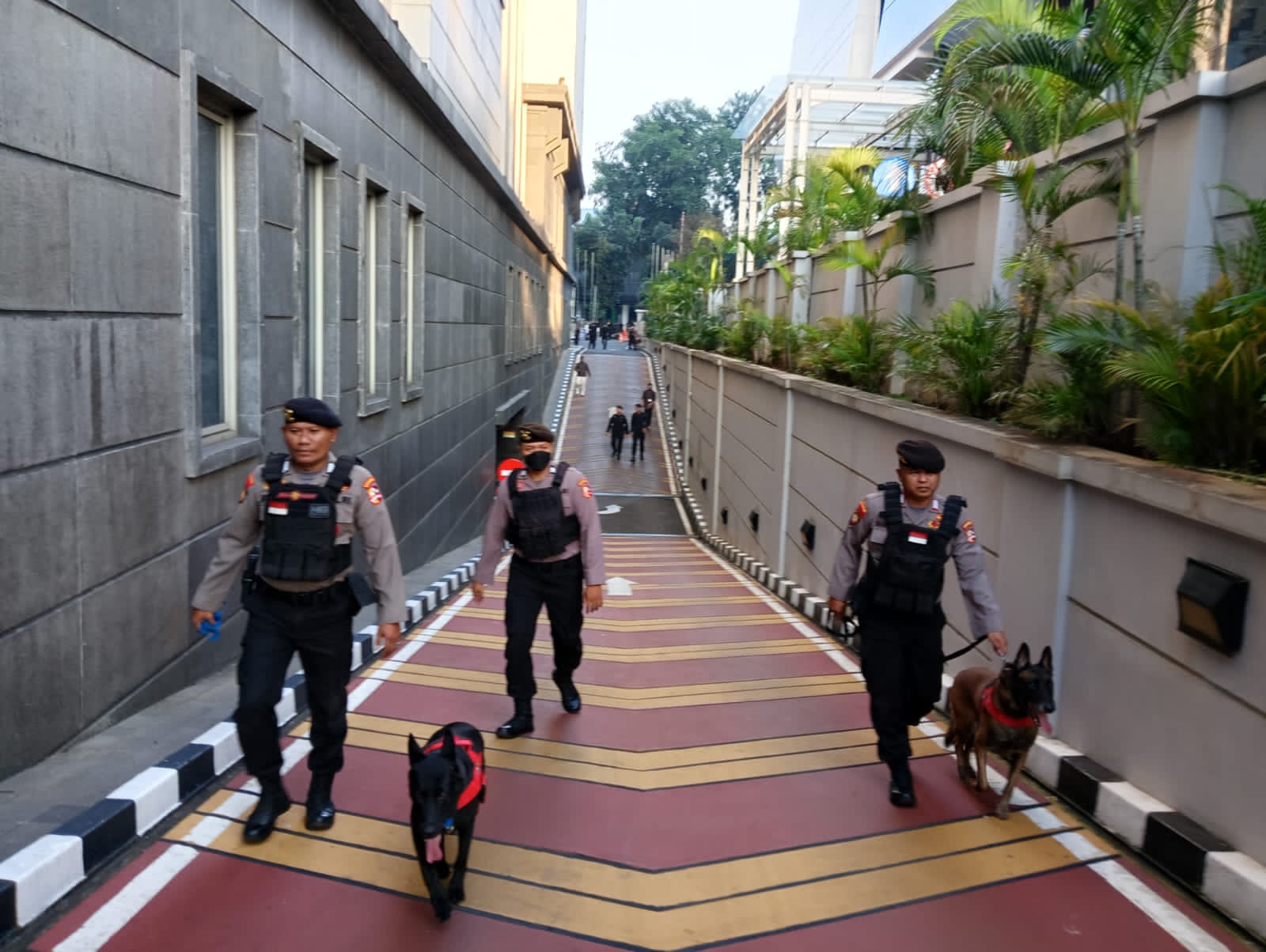 Polri mengerahkan anjing pelacak untuk mengamankan sidang sengketa Pilpres 2024, Senin (22/4). - Image