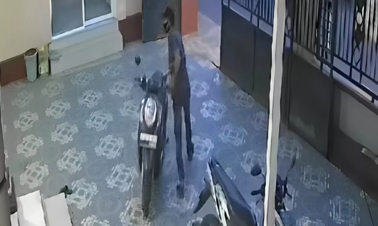 Pelaku menggondol motor di halaman rumah Ketua RT 12/RW 03 Dusun Cumpleng, Desa Bangsri, Kecamatan Sukodono, Sidoarjo sebelum dihajar massa. (Radar Sidoarjo) - Image