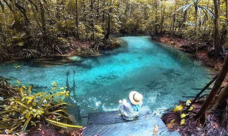 Pesona Kali Biru Genyem, sungai dengan air yang transparan berwarna biru kehijauan. /Sumber Foto : Instagram @widyaduhra - Image
