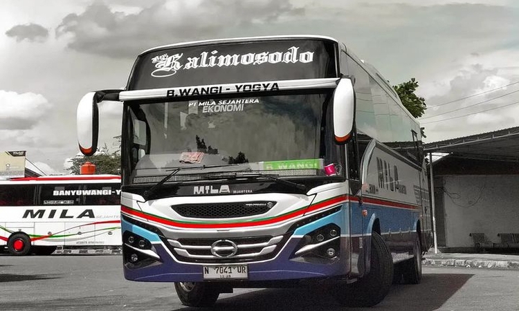 Bus Mila Ekonomi AC murah jadi solusi transportasi rute Banyuwangi-Jogjakarta. - Image