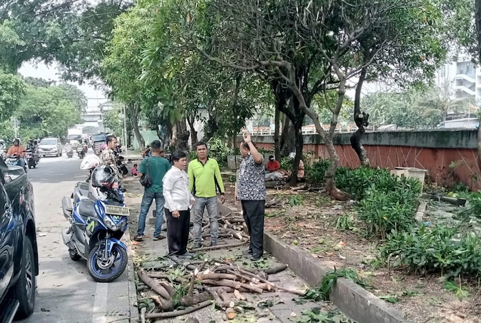 - Suku Dinas Pertamanan dan Hutan (Sudin Tamhut) Kota Jakarta Barat menemukan puluhan lampu di Ruang Terbuka Hijau (RTH) Tubagus Angke, Grogol Petamburan, yang tertutup rimbunan pohon. - Image