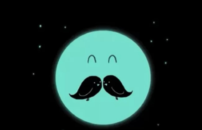 Gambar wajah dan dua burung yang dapat mengungkapkan apakah kamu seorang introvert atau ekstrovert (Jagranjosh.com) - Image