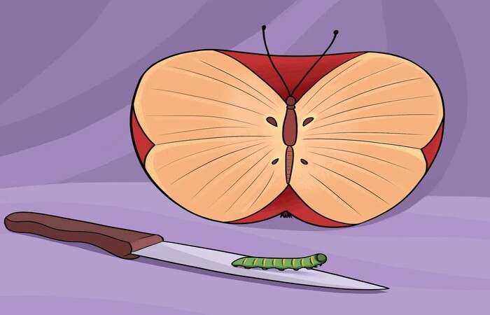 Gambar kupu-kupu, buah apel, ulat, dan pisau dapat mengungkapkan ketakutan terdalam kamu. (Brightside.me) - Image