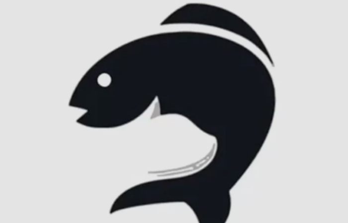 Gambar kucing dan ikan dapat mengungkapkan apakah kamu sosok yang bisa mendeteksi kebohongan orang lain atau tidak (Jagranjosh.com) - Image