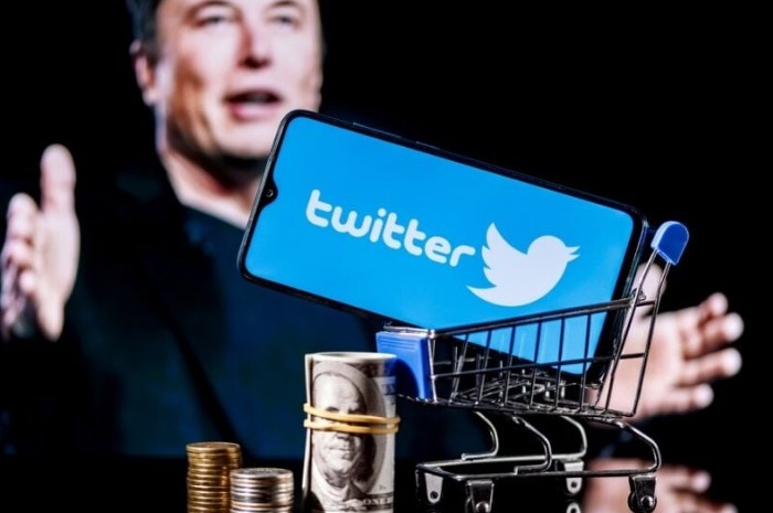 Elon Musk Owner Baru twitter. - Image