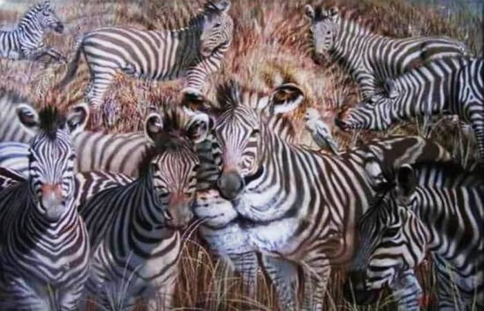 Gambar zebra, singa, dan burung yang bertengger di atas zebra dapat mengungkapkan sifat dominanmu. (The Minds Journal) - Image