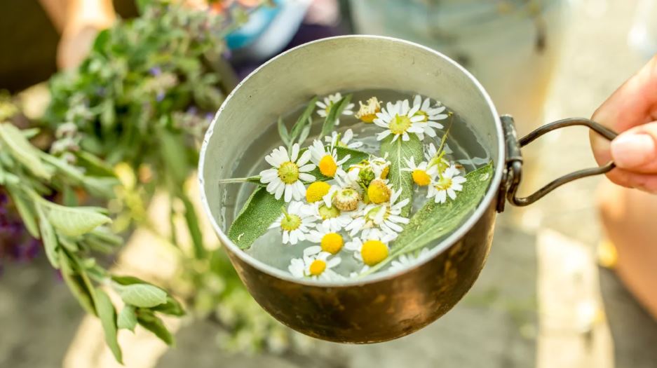 11 Bunga Ini Punya Manfaat Untuk Kesehatan Tubuh, Salah Satunya Chamomile (Getty Image) - Image