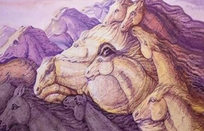 Gambar kuda yang dapat mengungkapkan sifat dan kepribadianmu yang tersembunyi (The Minds Journal) - Image