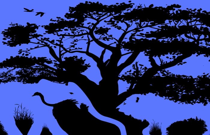 Gambar singa, gajah, burung unta, dan burung terbang dapat mengungkapkan apakah kamu sosok yang rasional atau emosional dalam membuat keputusan (The Minds Journal) - Image