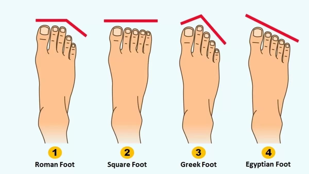 Bentuk Jari-Jari Kaki Ungkap Kepribadian Tersembunyimu. (Jagran Josh) - Image