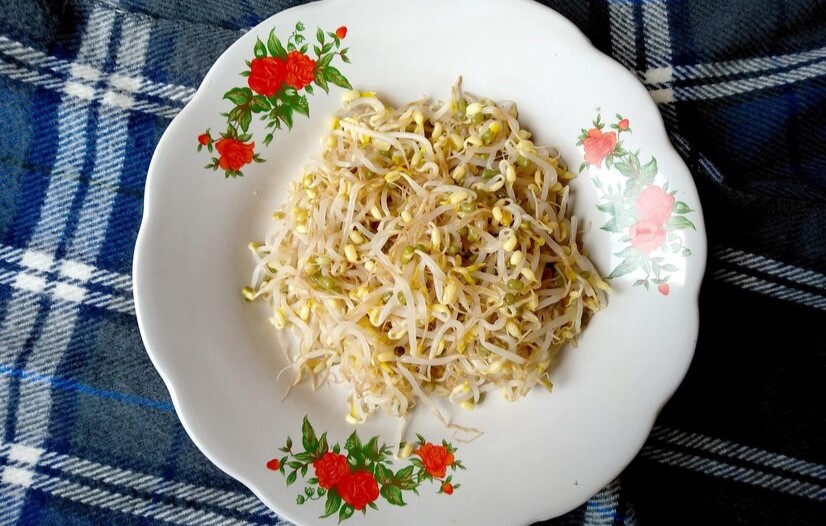Kecambah, disebut juga sebagai taoge, adalah salah satu makanan super yang seringkali terlupakan di antara banyaknya pilihan sayuran yang ada. - Image