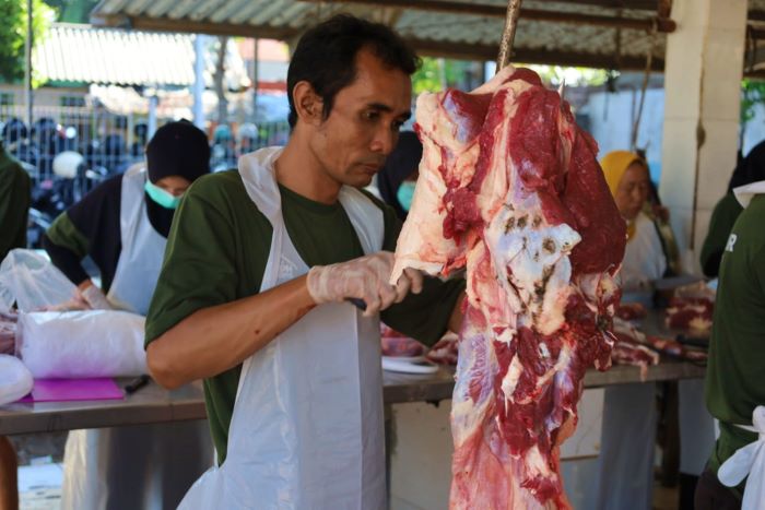 RPH Pegirian Surabaya sembelih hewan kurban. Masyarakat menerima daging kurban dari wadah ramah lingkungan. - Image