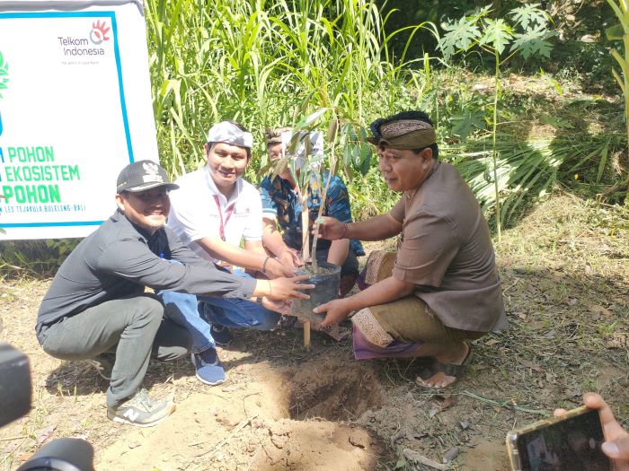 CSR PT Telkom Indonesia (Persero) Tbk beri bantuan bibit pohon produksi. - Image