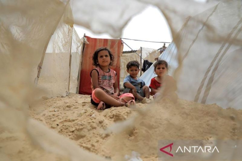 Sekitar 110.000 orang telah meninggalkan Rafah untuk menyelamatkan diri dari pengeboman Israel yang semakin intens. (ANTARA/Xinhua) - Image
