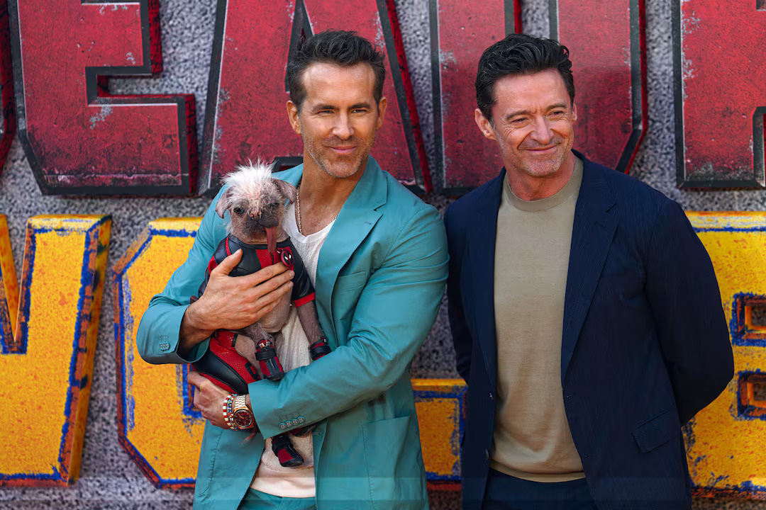 Hugh Jackman dan Ryan Reynolds yang sedang menggendong seekor anjing, sedang melakukan tur film terbaru mereka, Deadpool & Wolverine di London pada Kamis (11/7). - Image
