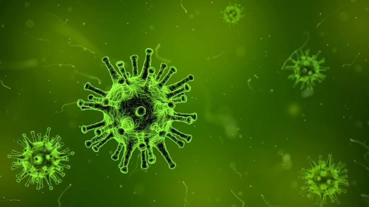 Ilustrasi virus Oropouche yang tengah melanda Brasil. (Medical News Bulletin). - Image