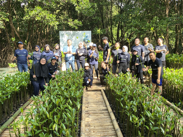Peringati Hari Mangrove Sedunia, PT Permodalan Nasional Madani (PNM) melakukan penanaman lebih dari 50.000 pohon mangrove di 14 titik secara serentak di seluruh Indonesia. (Dok. Humas PNM). - Image