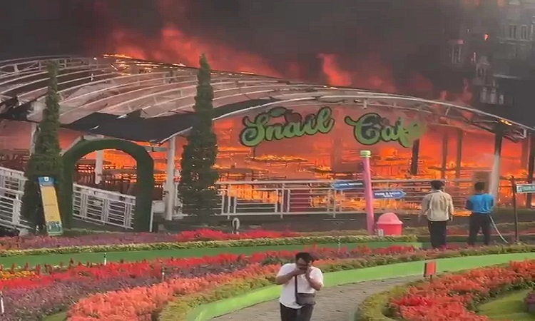 Insiden kebakaran di Snail Cafe Taman Bunga Celosia . (Istimewa) - Image