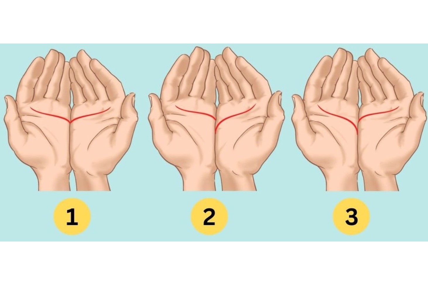 ilustrasi tes kepribadian garis hati pada telapak tangan. Sumber foto: Jagran Josh - Image