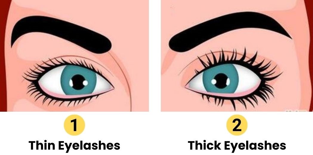 Ilustrasi tes kepribadian berdasarkan tipis tebalnya bulu mata./(Jagran Josh) - Image