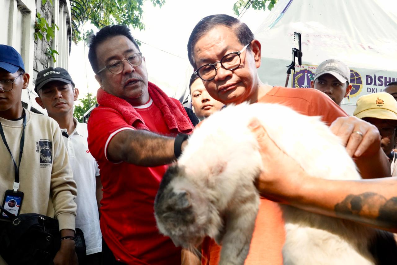 Paslon gubernur Wagub Pramono-Rano sedang menyerap aspirasi para pecinta hewan di arena Car Free Day (CFD), Jalan Sudirman, Jakarta, Minggu (8/9/2024). (Istimewa) - Image