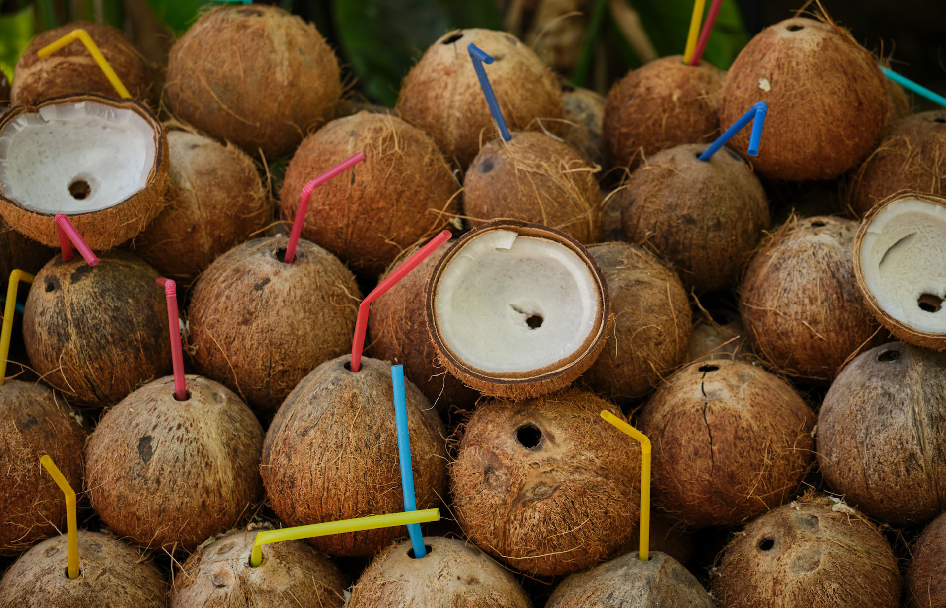 Kelapa jadi barang yang dilarang masuk pesawat karena berbahaya (unsplash/engin akyurt) - Image
