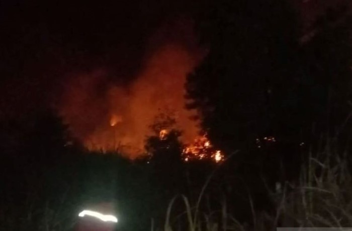 Petugas memadamkan kebakaran lahan gambut di sisi Tol Palindra Kabupaten Ogan Ilir, Sumsel. (Antara) - Image