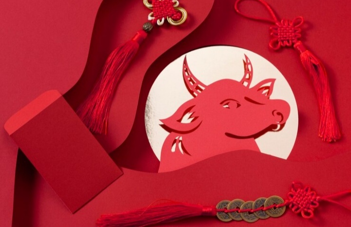 Ilustrasi shio kerbau, salah satu shio yang terlihat santai tapi akan mengejutkan dunia dengan kejayaan mereka./ freepik - Image