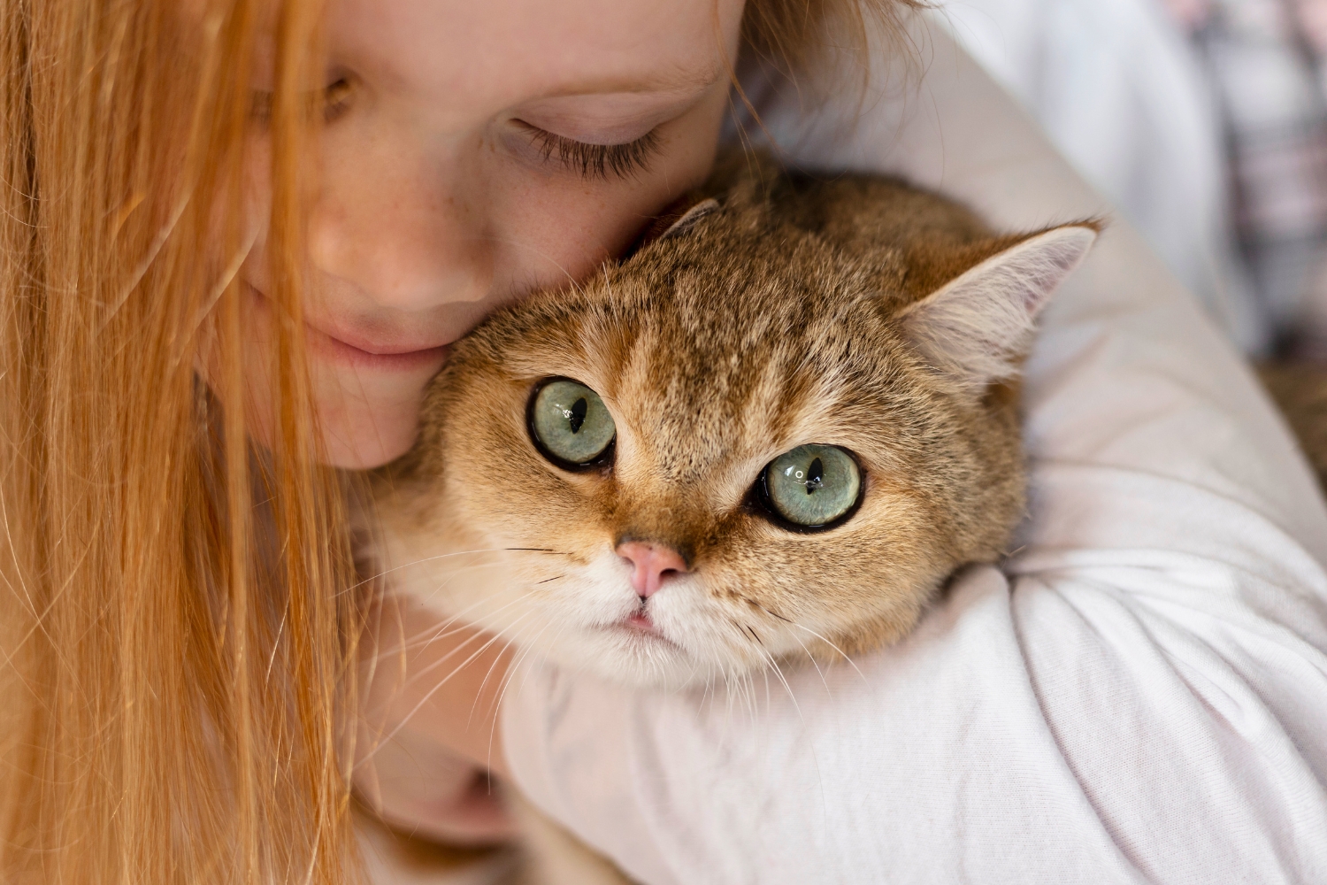 Ilustrasi melalui perubahan bentuk pupil dan gerakan mata, kucing dapat menunjukkan perasaannya (Freepik) - Image
