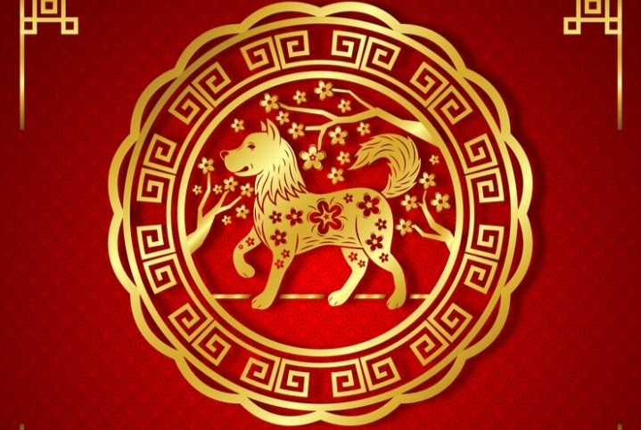 Ilustrasi shio anjing, salah satu shio yang semakin meningkat derajatnya, menurut astrologi Tiongkok./Freepik - Image