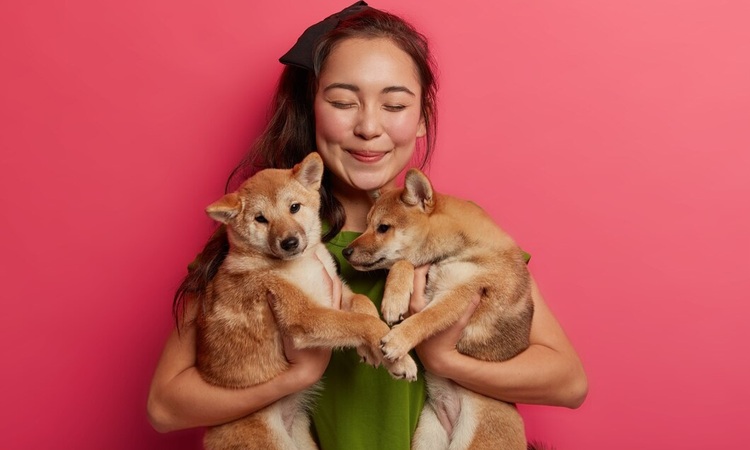 Orang yang memperlakukan hewan peliharaan mereka seperti anak-anak mereka sendiri biasanya memiliki 7 kualitas unik ini, kata psikologi. - Image