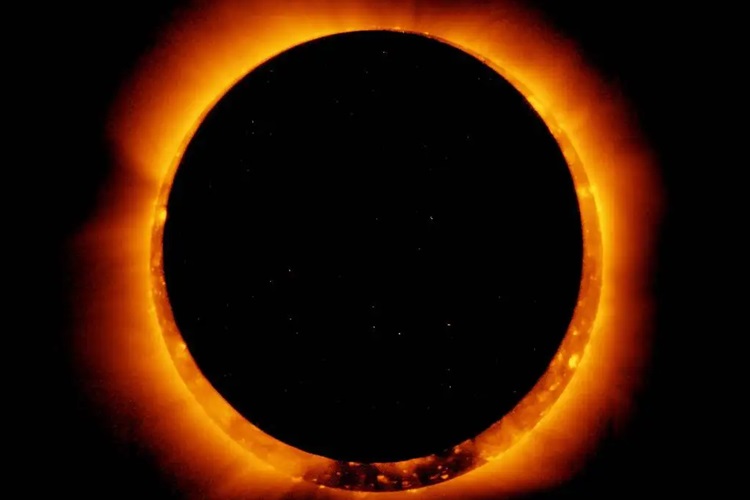 5 Shio bakal dinaungi keberuntungan saat Gerhana Matahari Cincin Oktober 2024 - Image