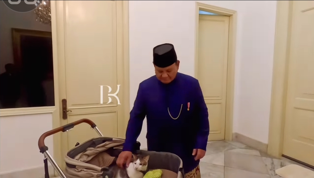 Kucing Prabowo Subianto, Bobby Kertanegara, ikut dalam pelantikan majikannya sebagai Presiden RI ke-8 di kawasan Gedung MPR RI. (IG) - Image