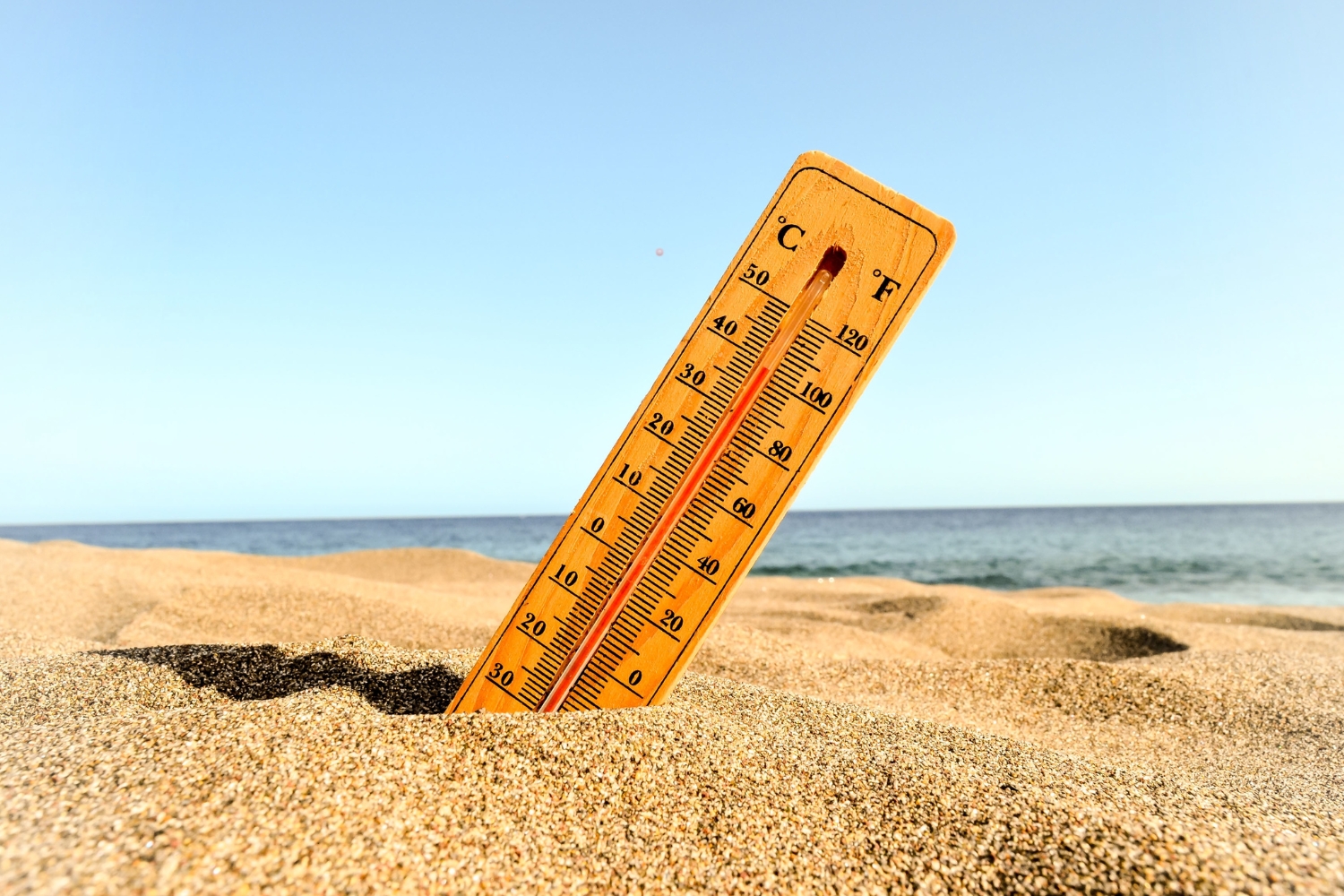 Ilustrasi thermometer (Dok. Freepik) - Image